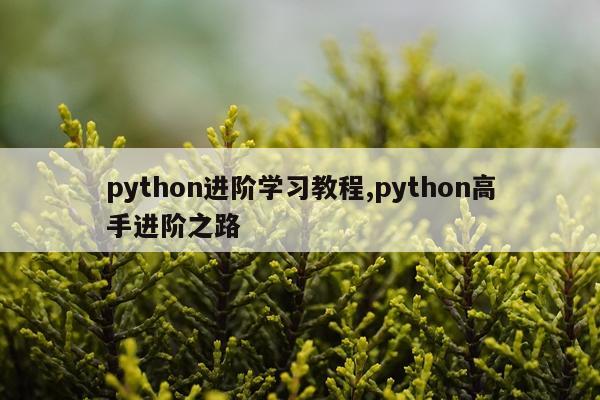 python进阶学习教程,python高手进阶之路