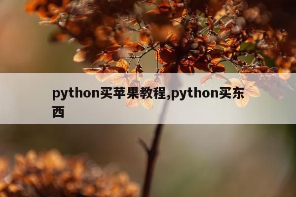 python买苹果教程,python买东西
