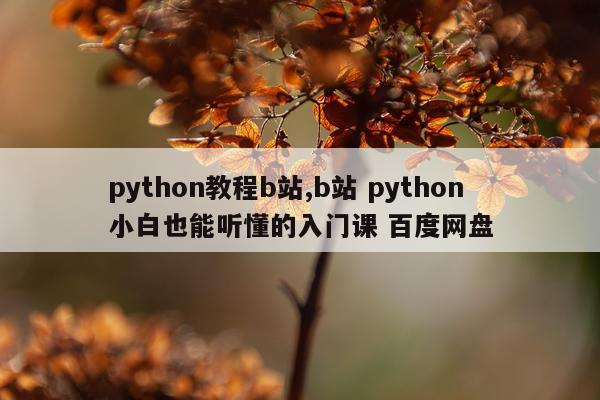 python教程b站,b站 python小白也能听懂的入门课 百度网盘