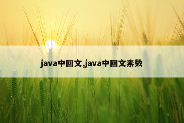java中回文,java中回文素数