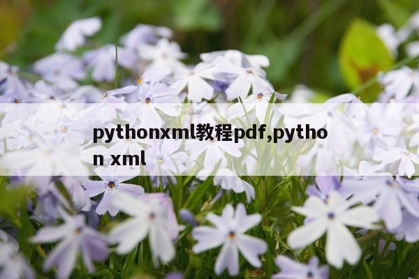 pythonxml教程pdf,python xml