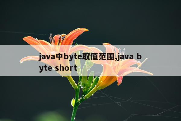 java中byte取值范围,java byte short