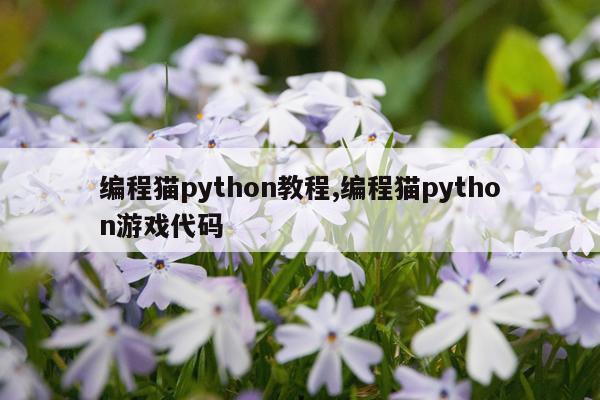 编程猫python教程,编程猫python游戏代码