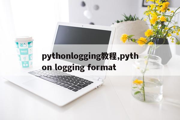 pythonlogging教程,python logging format