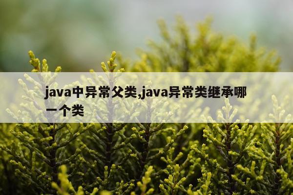 java中异常父类,java异常类继承哪一个类