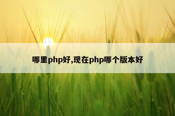 哪里php好,现在php哪个版本好