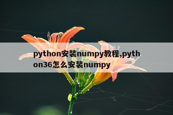 python安装numpy教程,python36怎么安装numpy