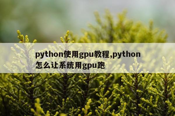 python使用gpu教程,python怎么让系统用gpu跑