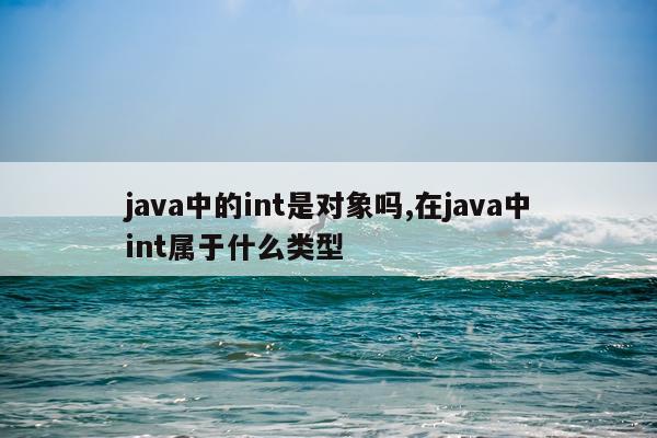 java中的int是对象吗,在java中int属于什么类型