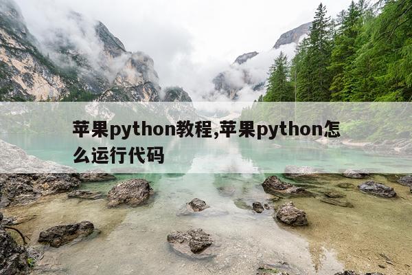 苹果python教程,苹果python怎么运行代码
