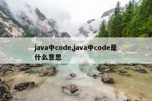 java中code,java中code是什么意思