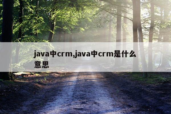 java中crm,java中crm是什么意思