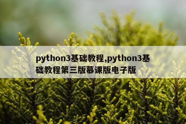 python3基础教程,python3基础教程第三版慕课版电子版