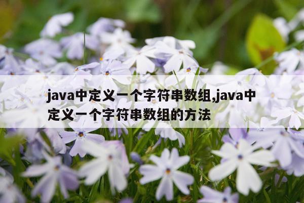 java中定义一个字符串数组,java中定义一个字符串数组的方法