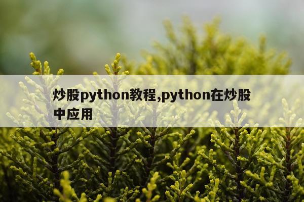 炒股python教程,python在炒股中应用