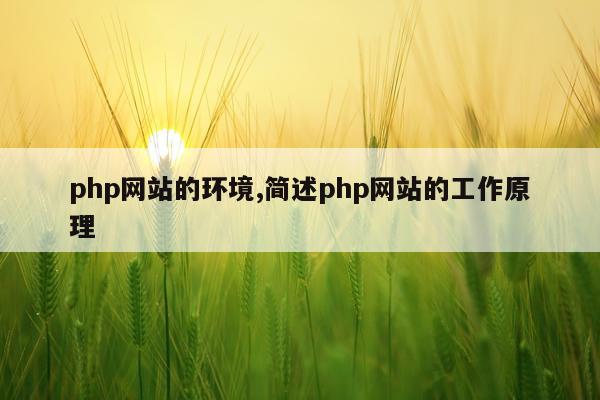php网站的环境,简述php网站的工作原理