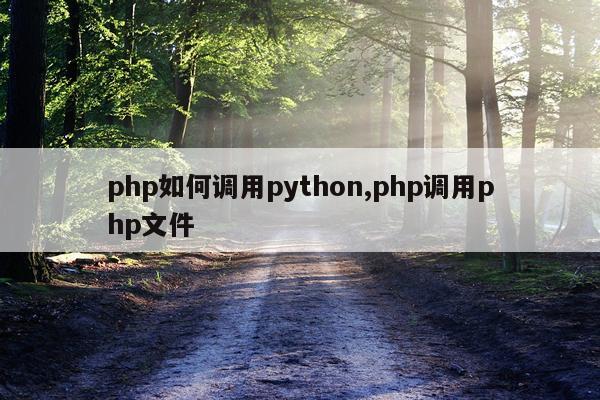 php如何调用python,php调用php文件