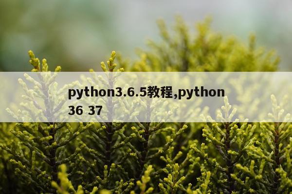 python3.6.5教程,python36 37
