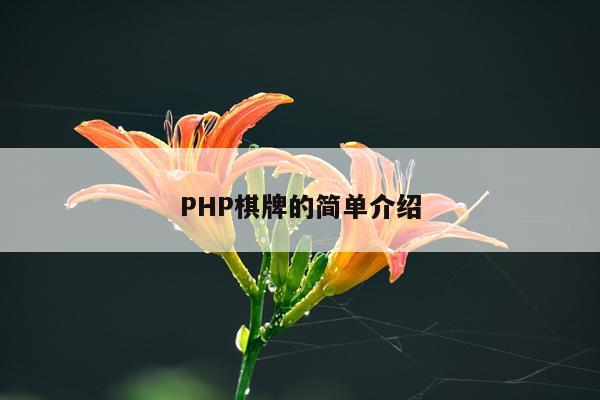 PHP棋牌的简单介绍