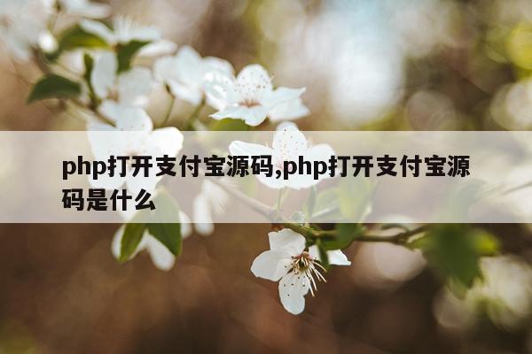 php打开支付宝源码,php打开支付宝源码是什么