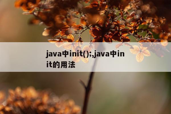 java中init();,java中init的用法