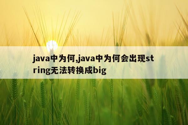 java中为何,java中为何会出现string无法转换成big