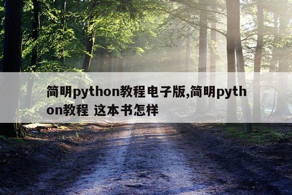 简明python教程电子版,简明python教程 这本书怎样