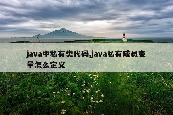 java中私有类代码,java私有成员变量怎么定义
