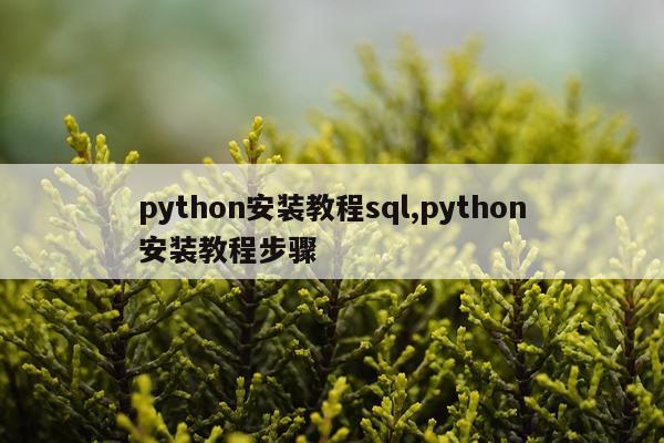 python安装教程sql,python安装教程步骤