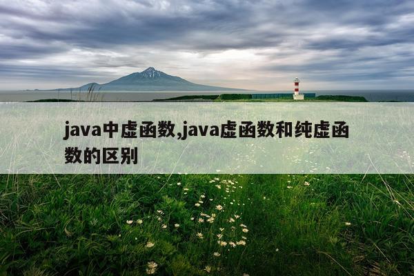 java中虚函数,java虚函数和纯虚函数的区别