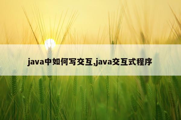 java中如何写交互,java交互式程序