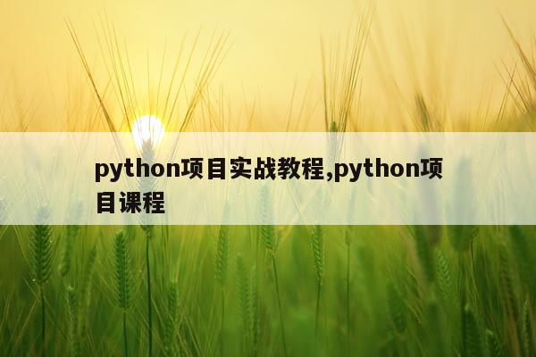 python项目实战教程,python项目课程