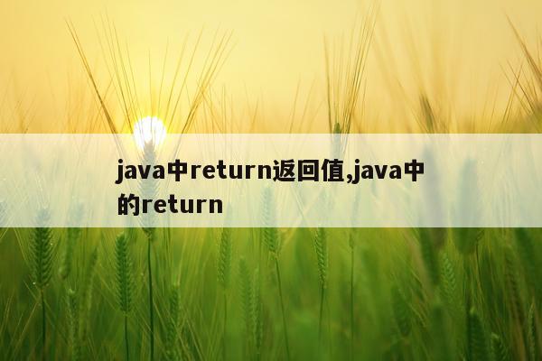 java中return返回值,java中的return