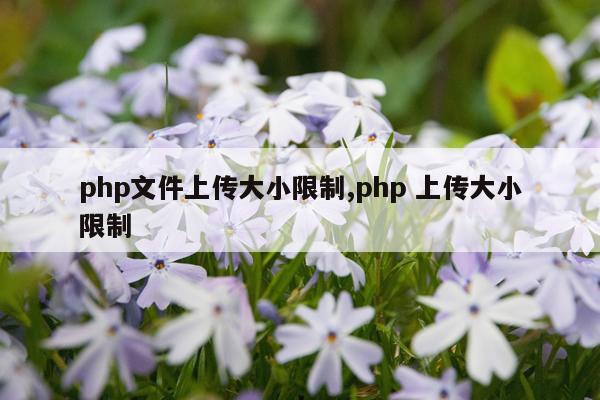 php文件上传大小限制,php 上传大小限制