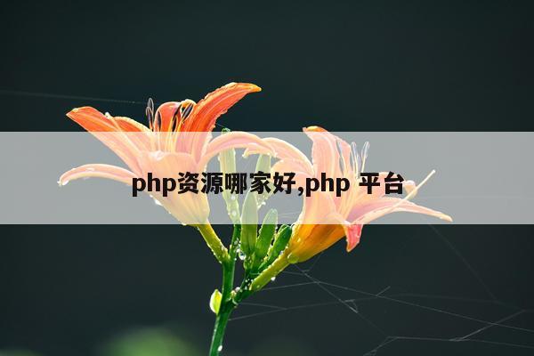 php资源哪家好,php 平台