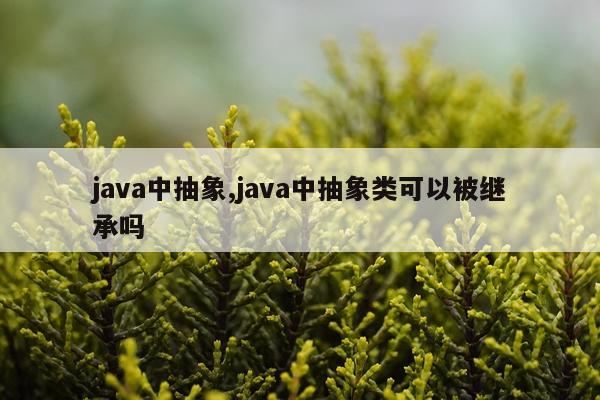 java中抽象,java中抽象类可以被继承吗