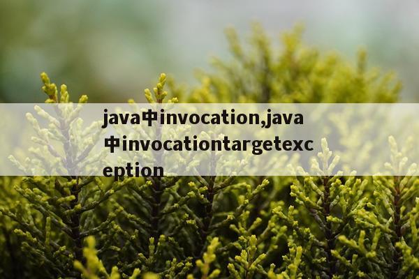 java中invocation,java中invocationtargetexception