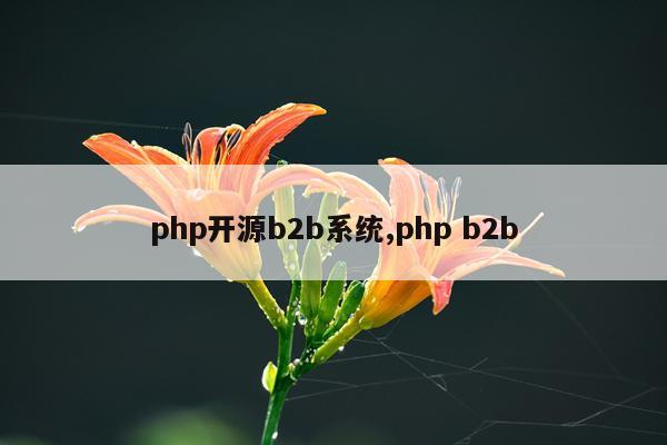 php开源b2b系统,php b2b