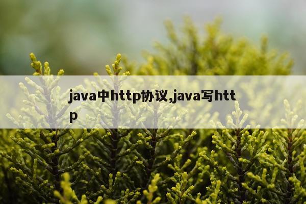 java中http协议,java写http