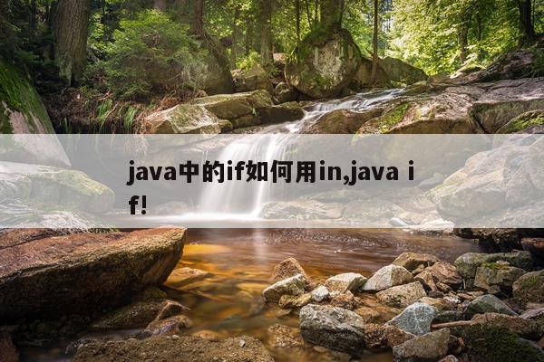 java中的if如何用in,java if!
