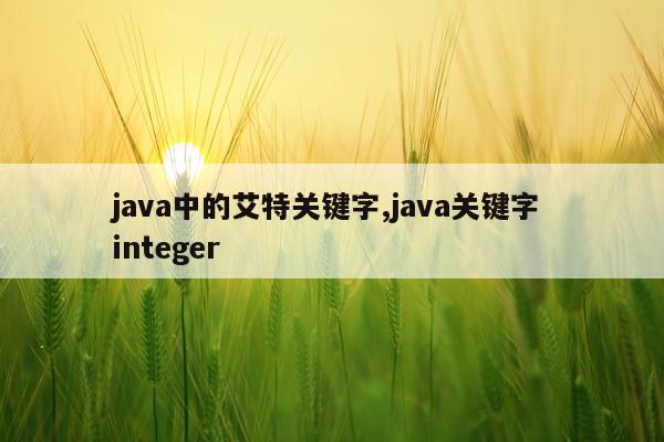 java中的艾特关键字,java关键字 integer