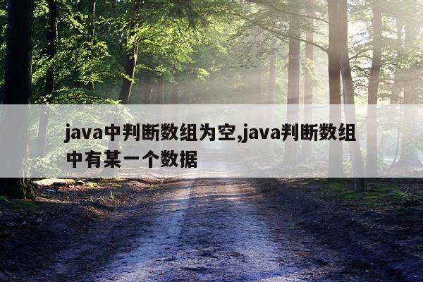 java中判断数组为空,java判断数组中有某一个数据