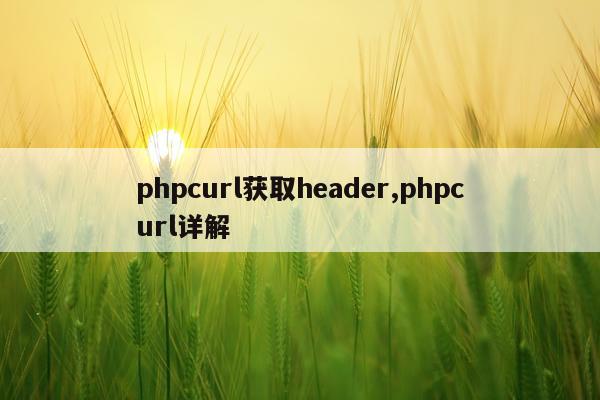 phpcurl获取header,phpcurl详解