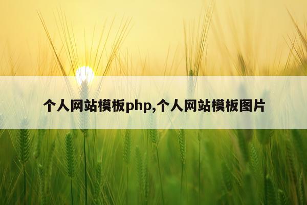 个人网站模板php,个人网站模板图片
