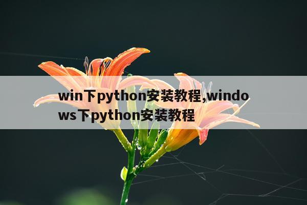 win下python安装教程,windows下python安装教程