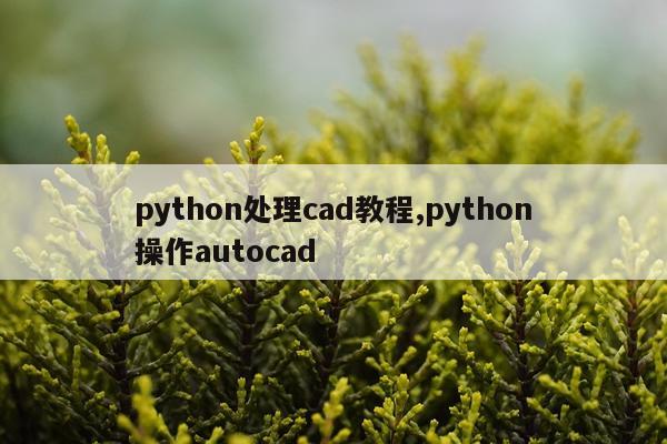 python处理cad教程,python操作autocad