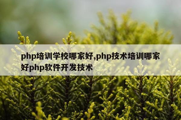 php培训学校哪家好,php技术培训哪家好php软件开发技术