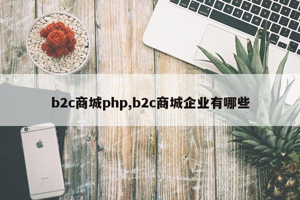 b2c商城php,b2c商城企业有哪些