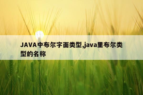 JAVA中布尔字面类型,java里布尔类型的名称