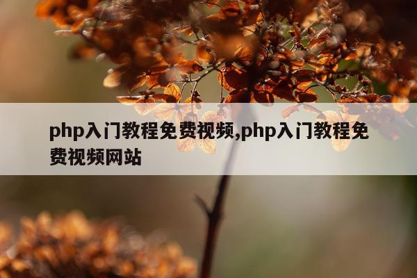 php入门教程免费视频,php入门教程免费视频网站